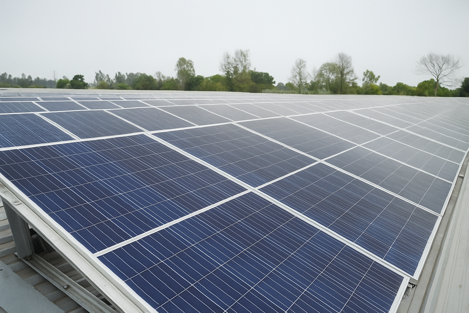 Quality & Performance